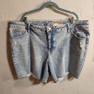 New Ava & viv size 24 new shorts